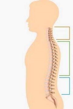 lesão da osteocondrose de diferentes partes da coluna
